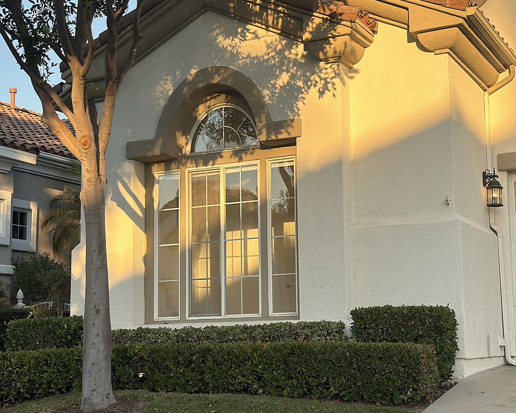 A house with a tree and a sidewalk.